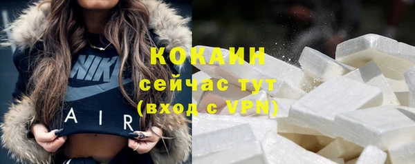 ГАЛЛЮЦИНОГЕННЫЕ ГРИБЫ Беслан