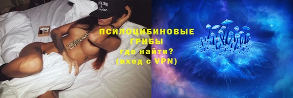 бошки Новозыбков