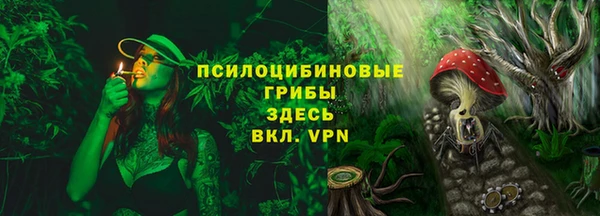 дживик Новокубанск