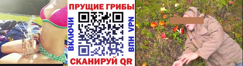 Псилоцибиновые грибы мицелий  MEGA зеркало  Новопавловск  где купить наркотик 